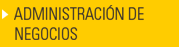 Administracin de Negocios